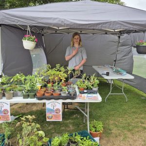 plant sale